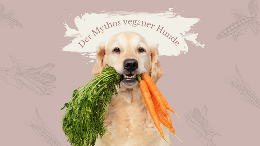 Der Mythos veganer Hunde